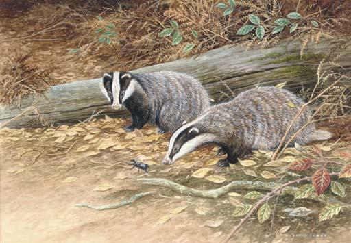 David Parry - A passing visitor