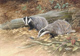 David Parry - A passing visitor