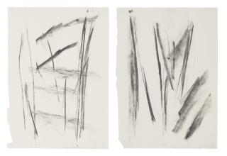 David Rabinowitch - I.Untitled (#14)   Ii. Untitled (#30)