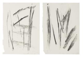 David Rabinowitch - I.Untitled (#14) Ii. Untitled (#30)