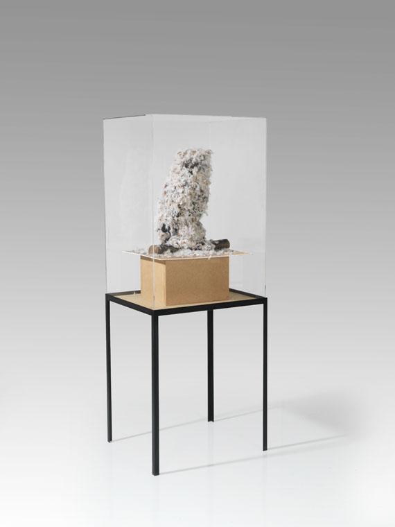 David Renggli - Eule