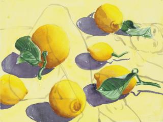 David Salle - Figure and Lemons