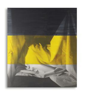 David Salle - Ghost #5