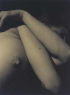 David Salle - Nude, 1980-1990