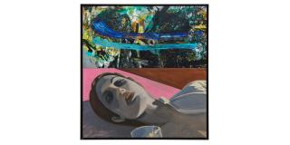 David Salle - Pink Field