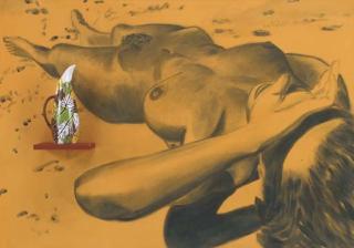 David Salle - Pitcher