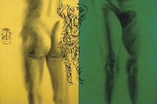 David Salle - The Numinous Shadow