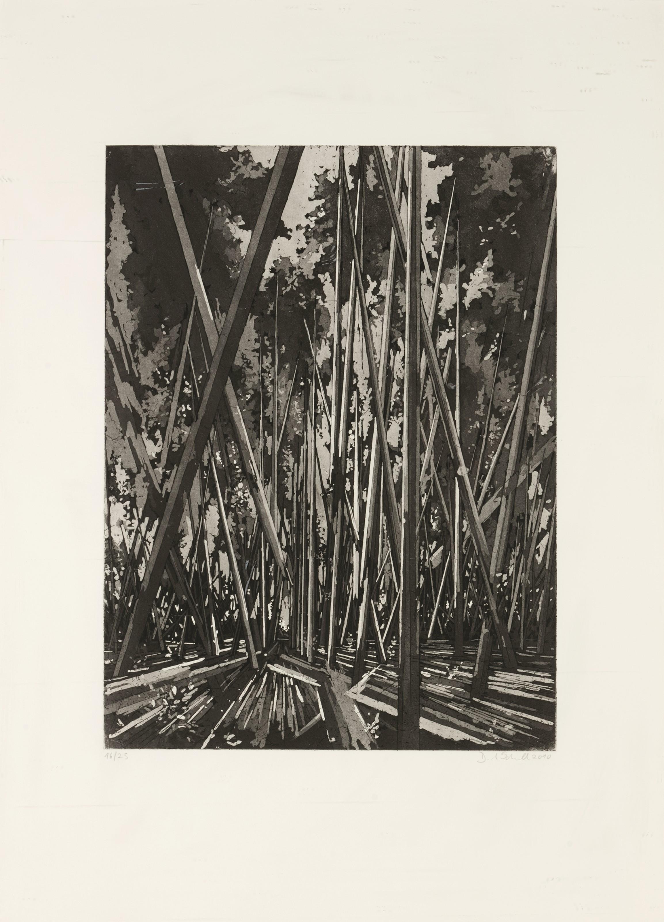 David Schnell - Abkürzung (Abbreviation)