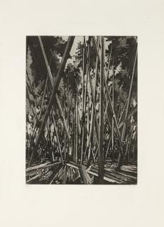 David Schnell - Abkürzung (Abbreviation)