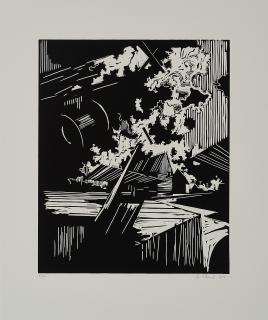 David Schnell - Einflug.