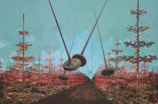 David Schnell - Kollision In Der Baumschule