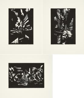 David Schnell - Mikado, Rast und Pollen.