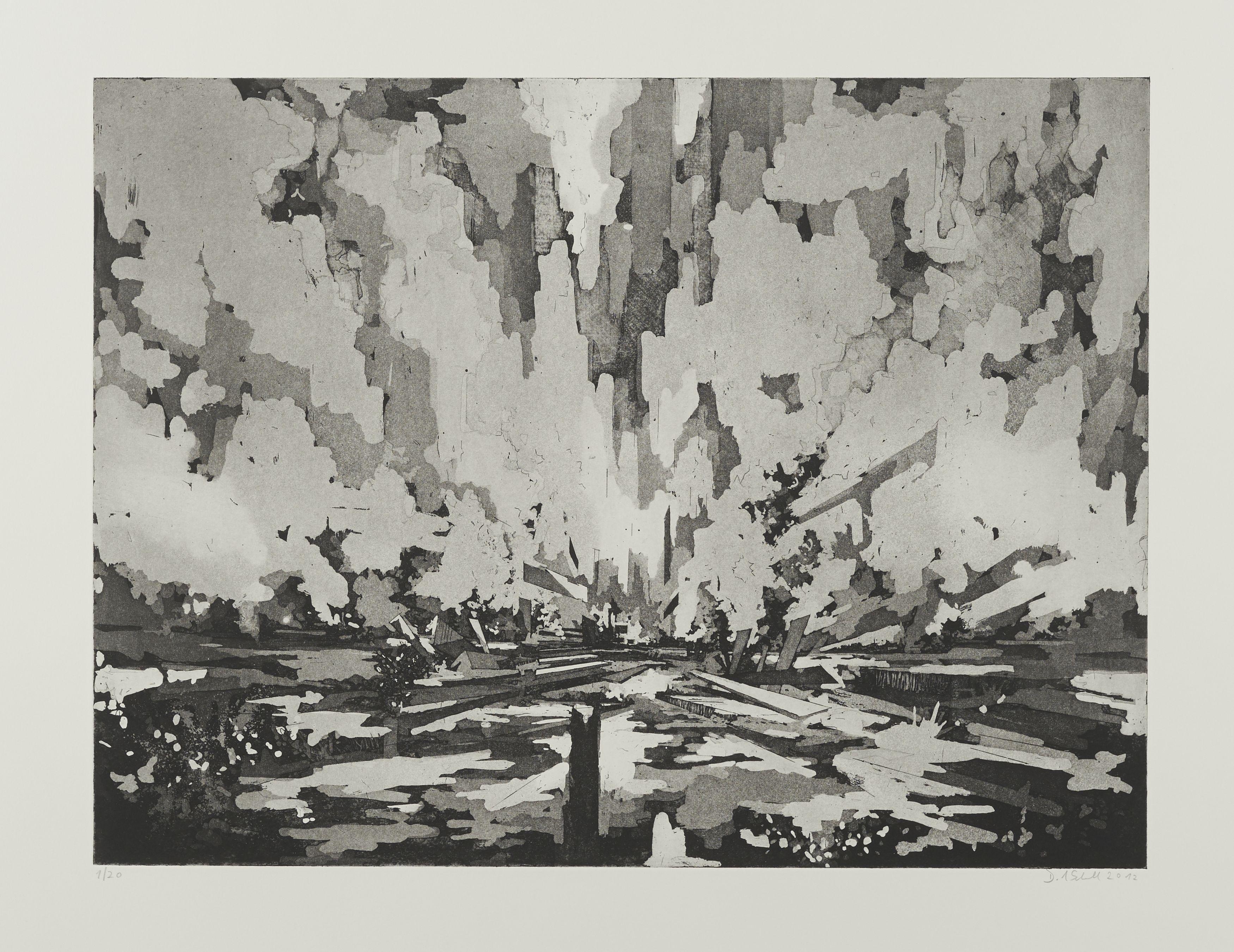 David Schnell - Probe