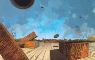 David Schnell - Tontauben