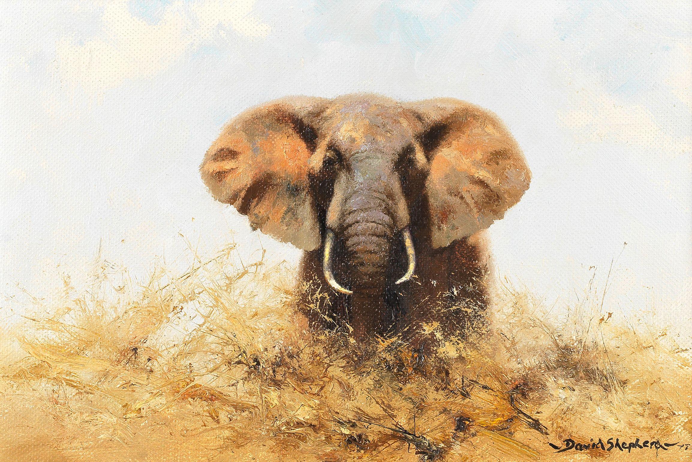 David Shepherd C.B.E. - Bull Elephant