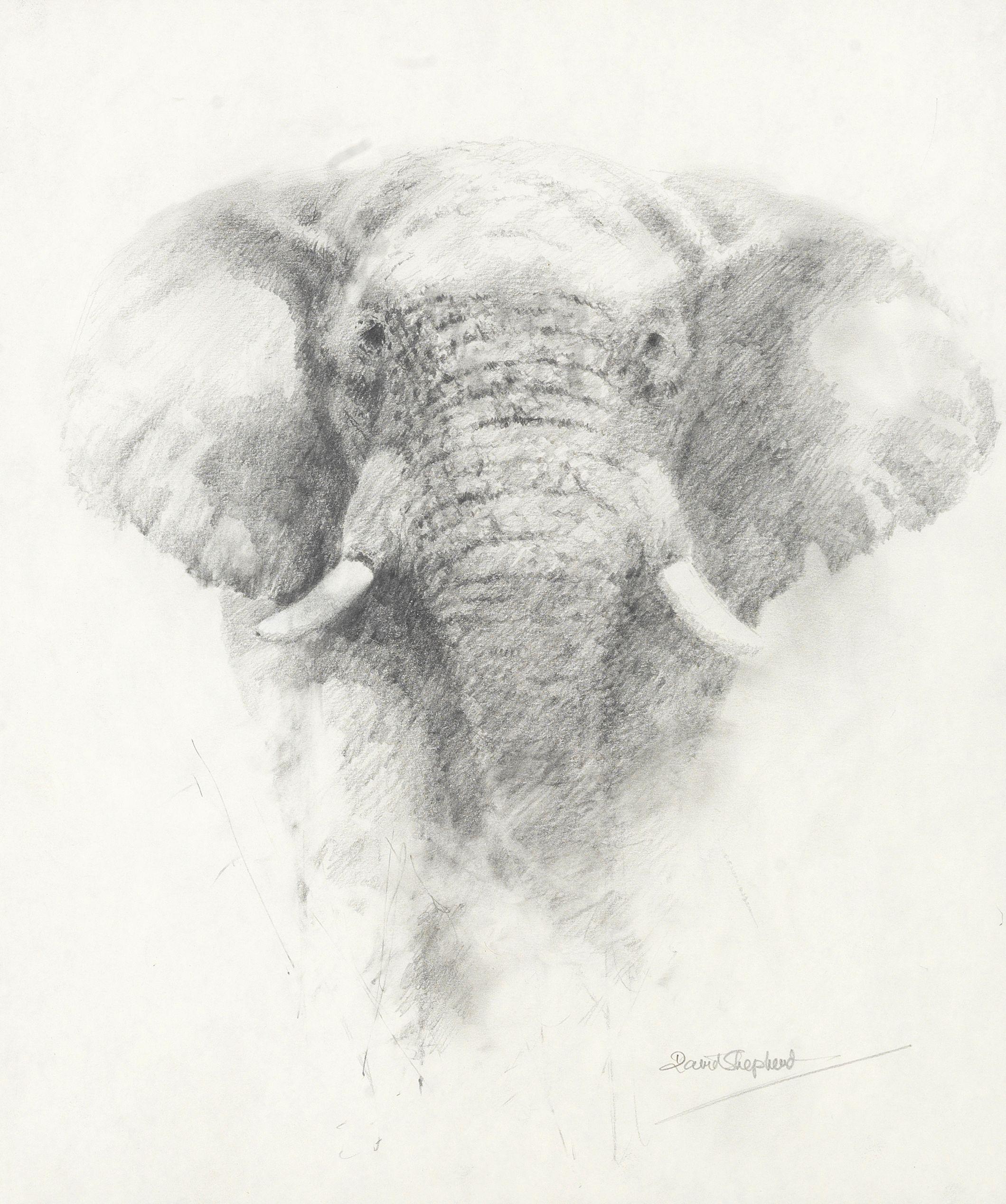 David Shepherd C.B.E. - Bull Elephant