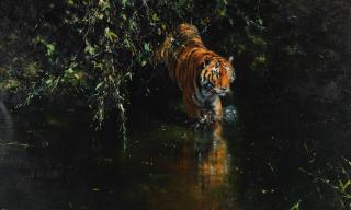 David Shepherd C.B.E. - Burning Bright