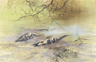 David Shepherd C.B.E. - Crocodiles