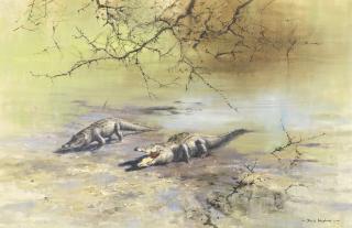 David Shepherd C.B.E. - Crocodiles