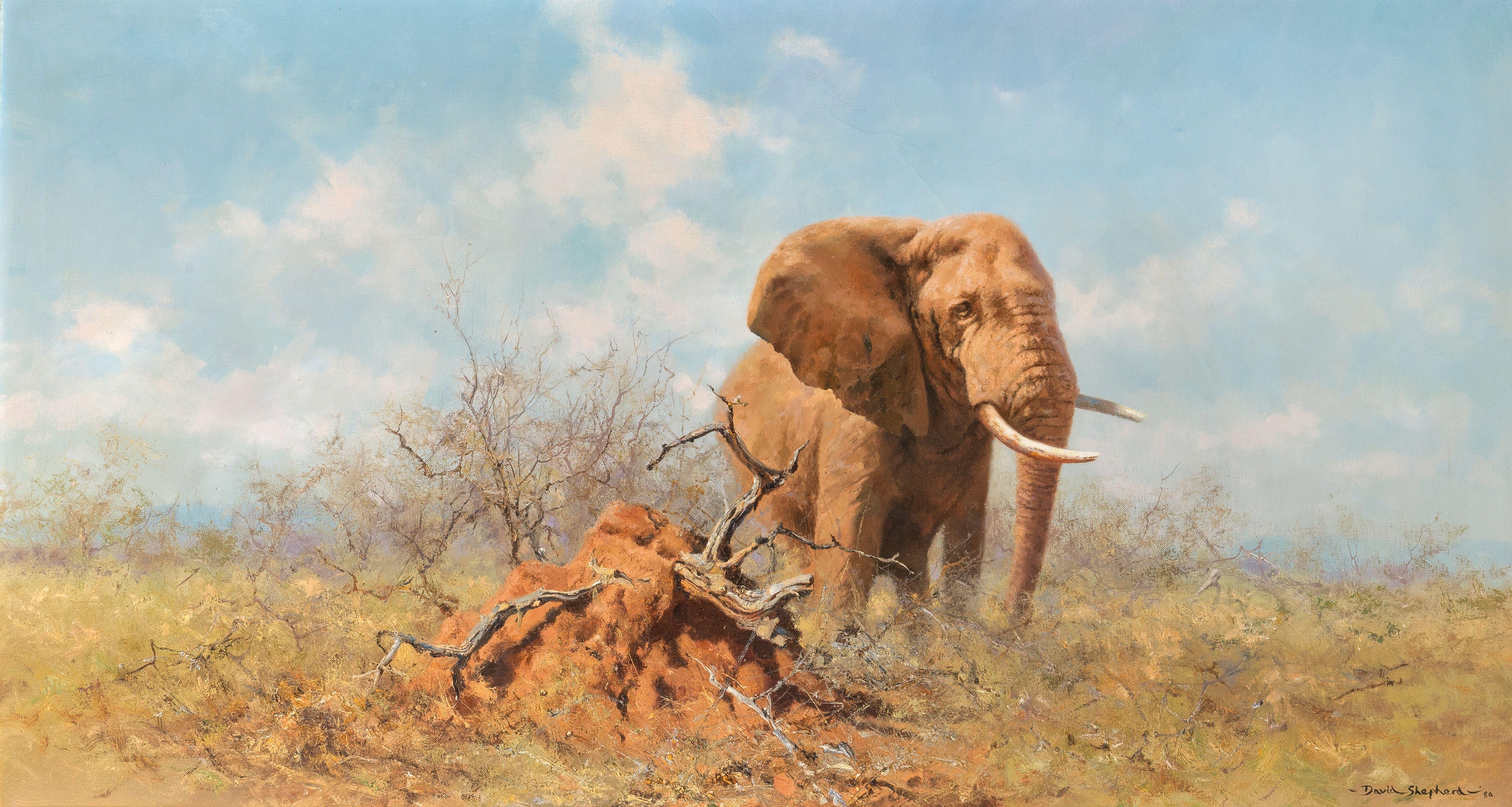 David Shepherd C.B.E. - Elephant in the Brush