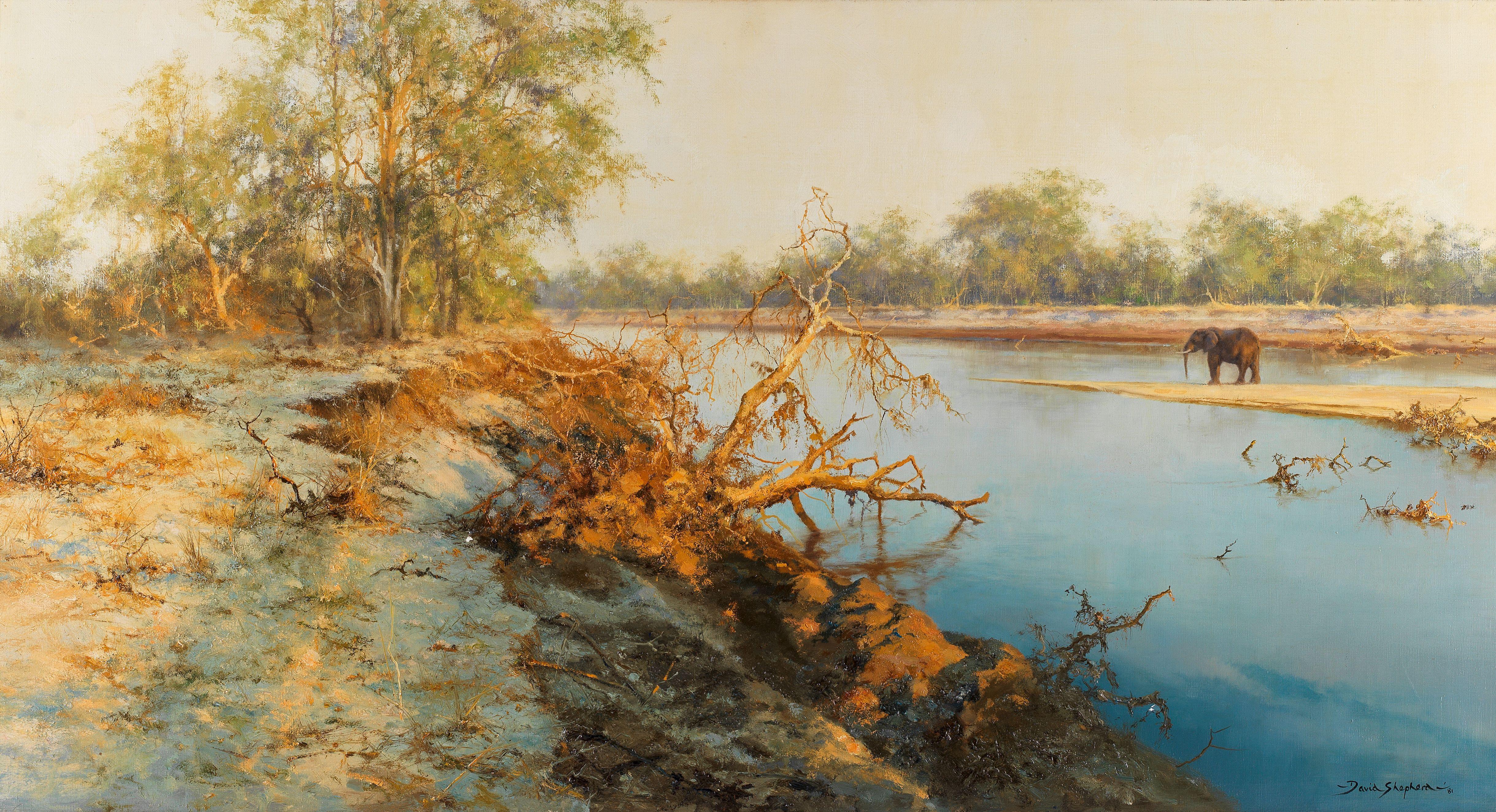 David Shepherd C.B.E. - Evening of the Elephant