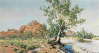 David Shepherd C.B.E. - The Bungle Bungles