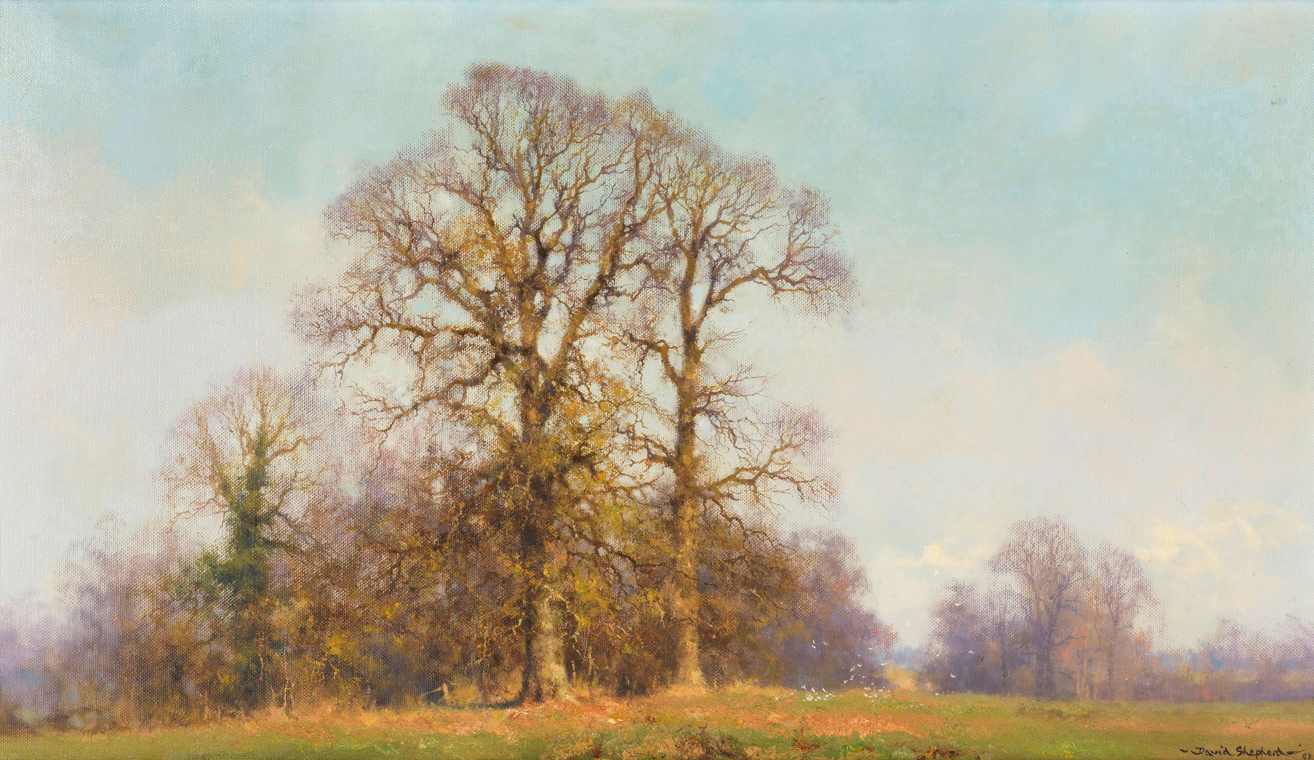 David Shepherd C.B.E. - The Three Elms