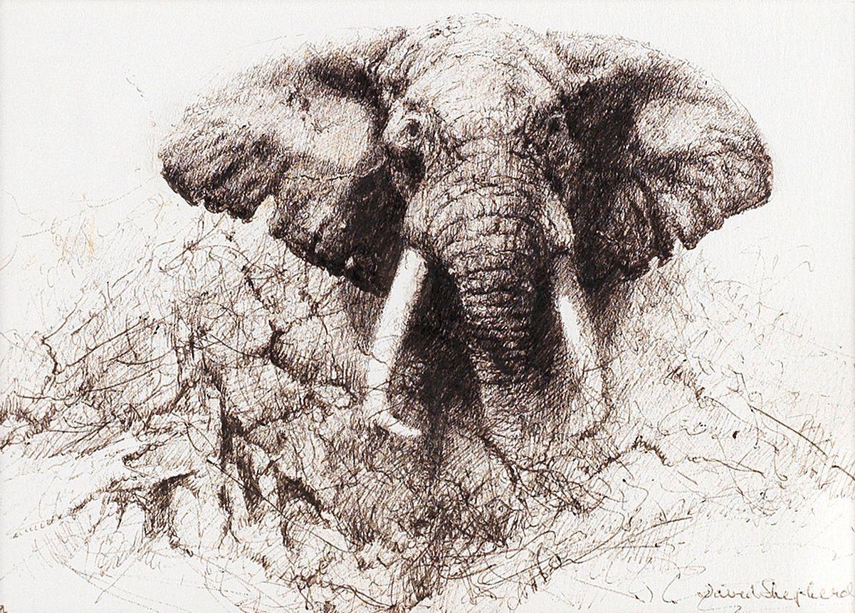 David Shepherd C.B.E. - Threatening Bull