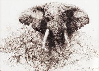 David Shepherd C.B.E. - Threatening Bull