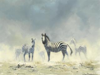 David Shepherd C.B.E. - Zebras
