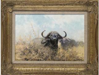 David Shepherd, O.B.E., F.R.S.A. - Buffalo Beware