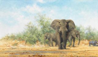 David Shepherd O.B.E. - Three Happy Jumbos and Friends, the Luangwa Valley National Park in Zambia