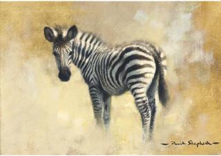 David Shepherd - A Baby Zebra