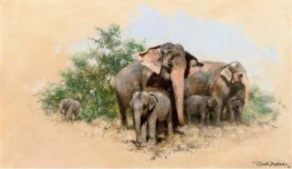 David Shepherd - A Family of Elephants