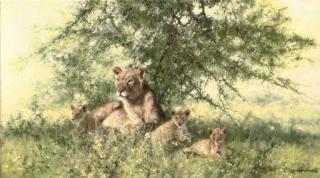 David Shepherd - A Lioness and her Cubs