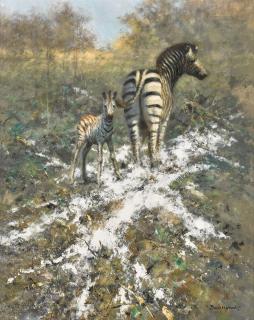 David Shepherd - After the Burning