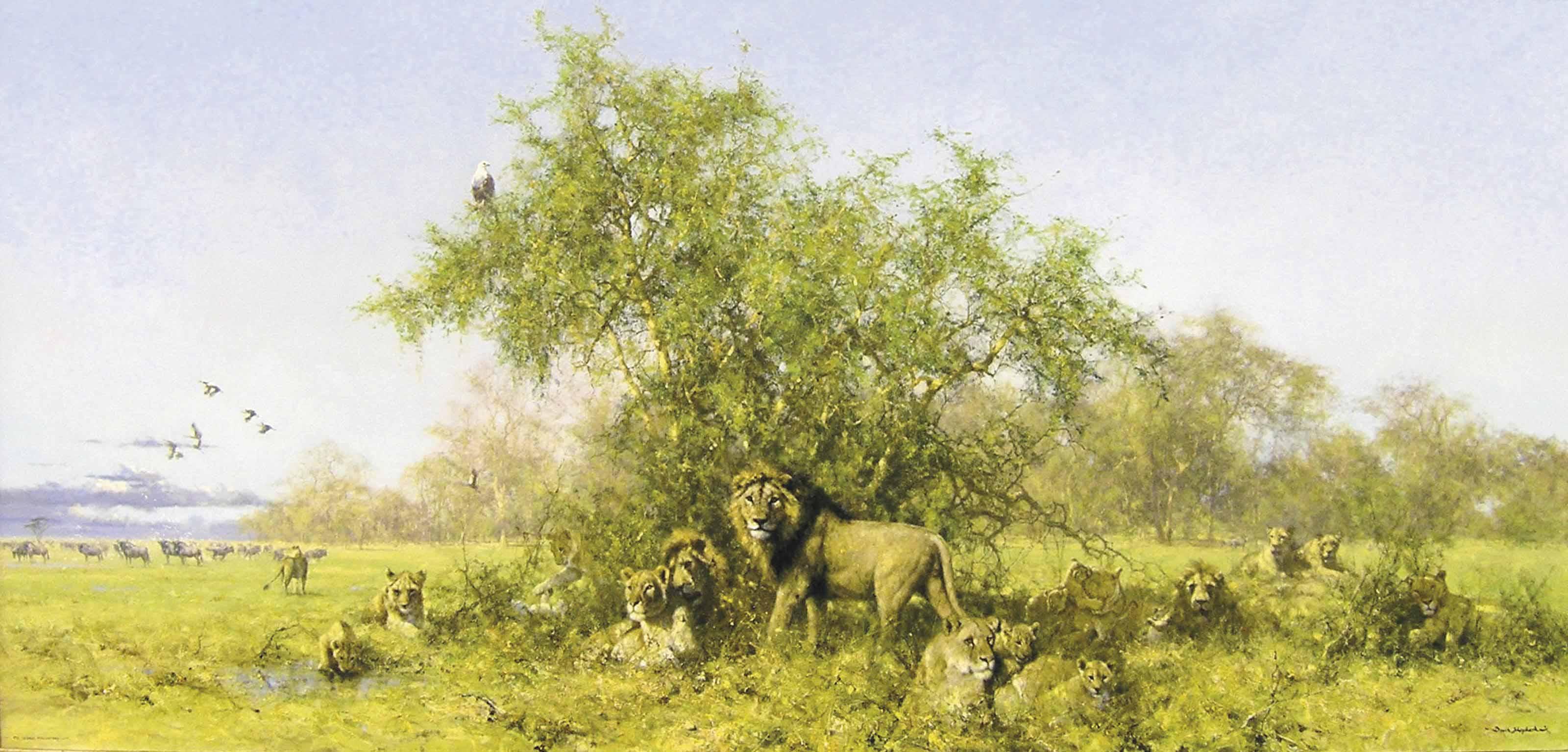 David Shepherd - After the Rains - Evening in the Luangwa Valley, Zambia