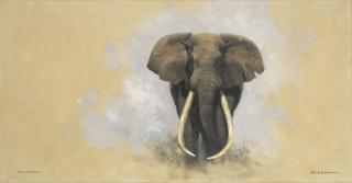 David Shepherd - Ahmed of Marsabit