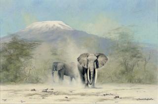 David Shepherd - Amboseli elephants, with Kilamanjaro beyond