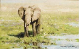 David Shepherd - An Elephant at a water hole
