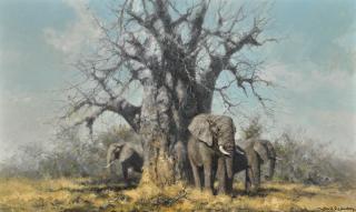 David Shepherd - British under The Baobab