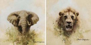 David Shepherd - Bull Elephant