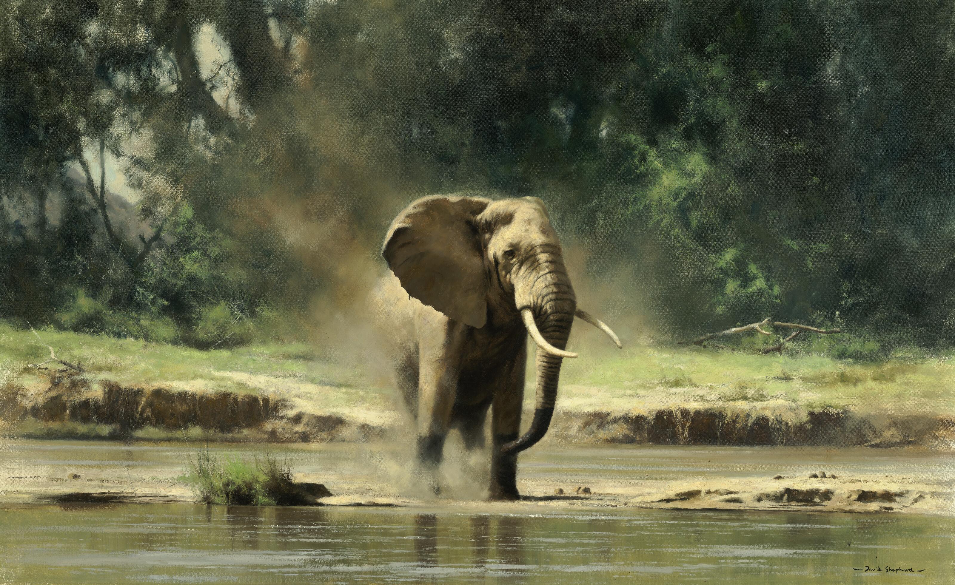 David Shepherd - Elephant Afternoon