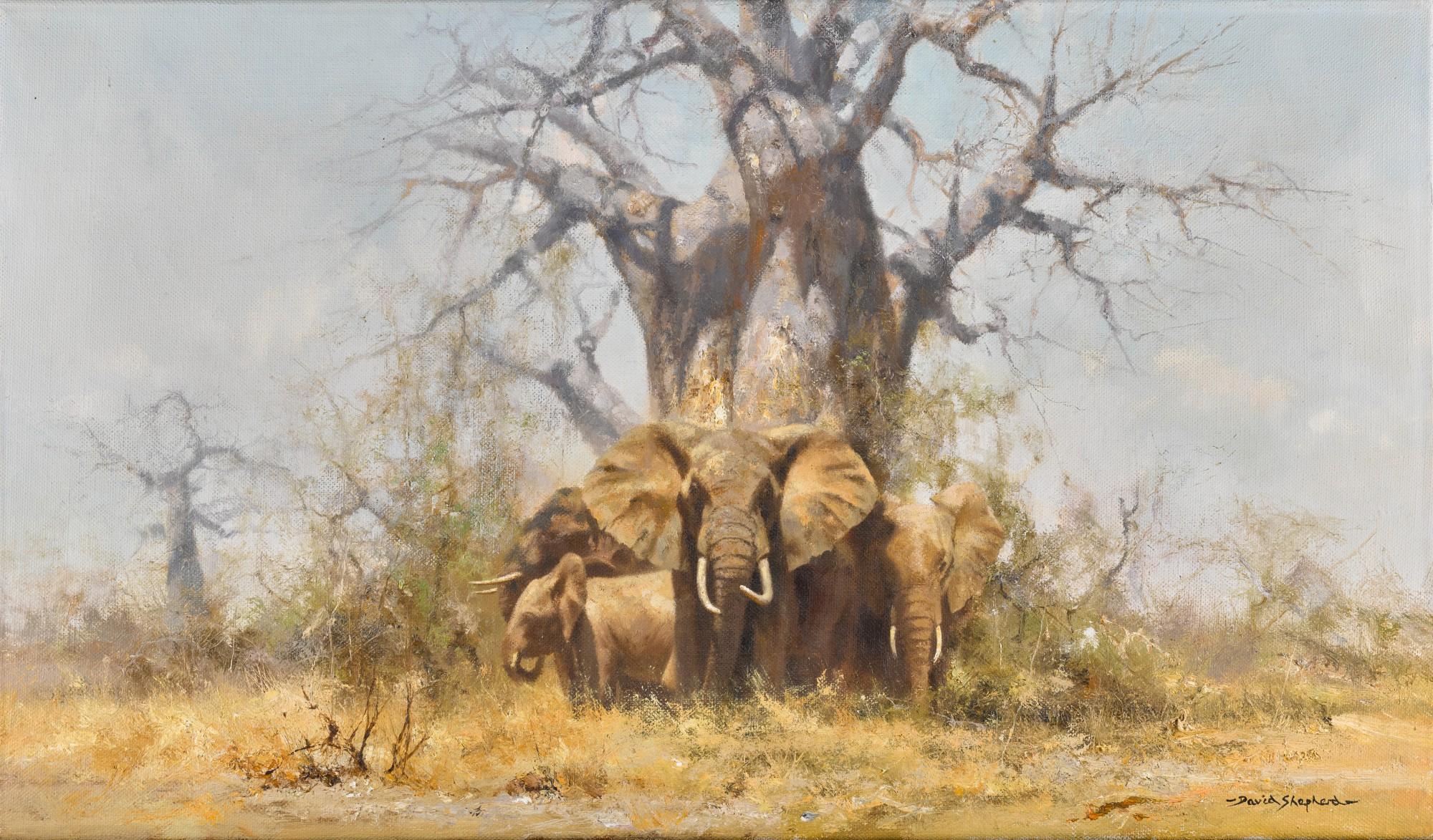 David Shepherd - Elephants and a Baobab Tree, Africa