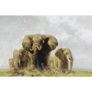 David Shepherd - Elephants And Egrets