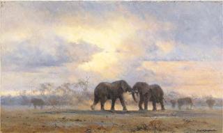 David Shepherd - Elephants