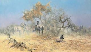 David Shepherd - Etosha National Park, Namibia