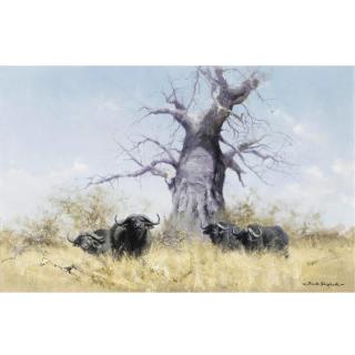 David Shepherd - Four Buffalos And The Baobab Tree