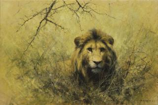 David Shepherd - In the heat of the day