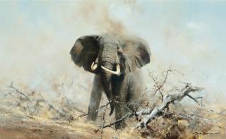 David Shepherd - King of the plains